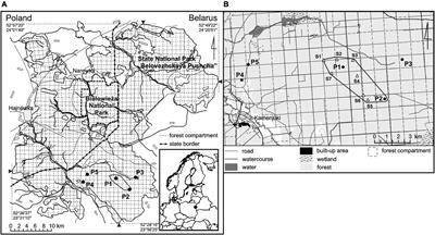 First Spatial Reconstruction of Past Fires in Temperate Europe Suggests Large Variability of Fire Sizes and an Important Role of Human-Related Ignitions